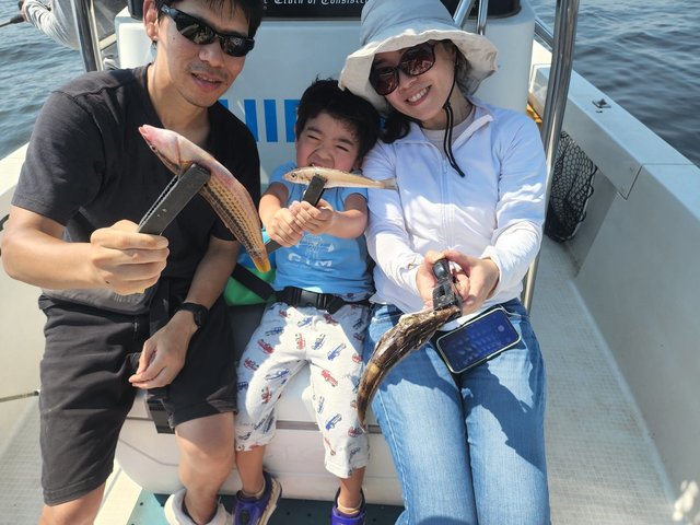 キス(シロギス)