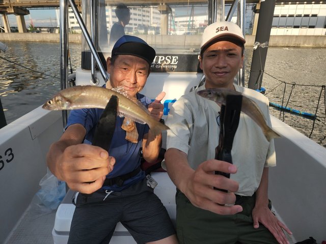 キス(シロギス)