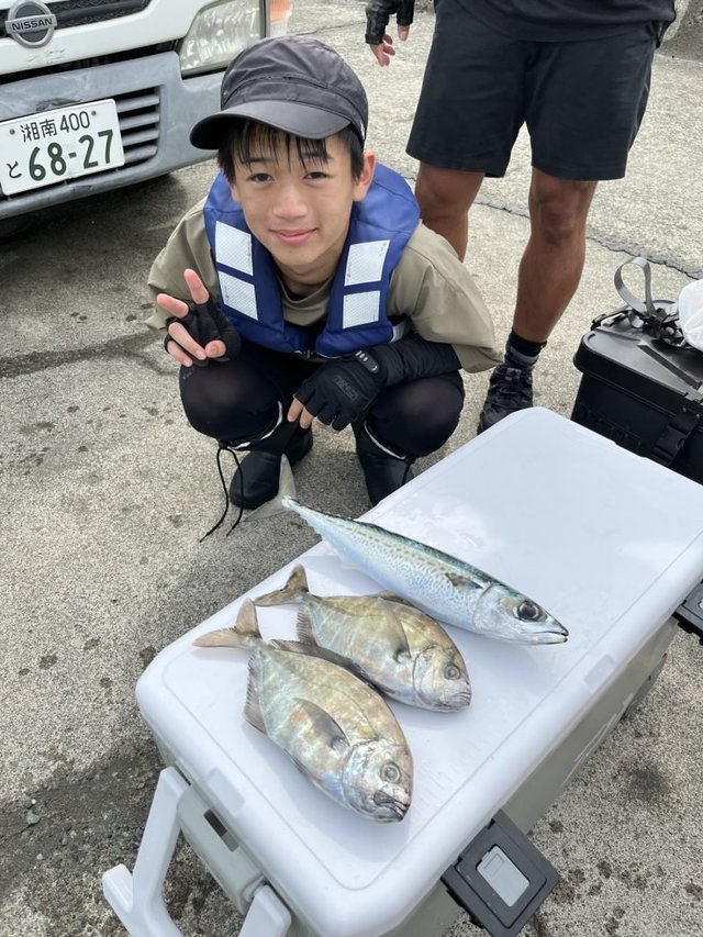 スマガツオ(スマ)・モクアジ(オキアジ)