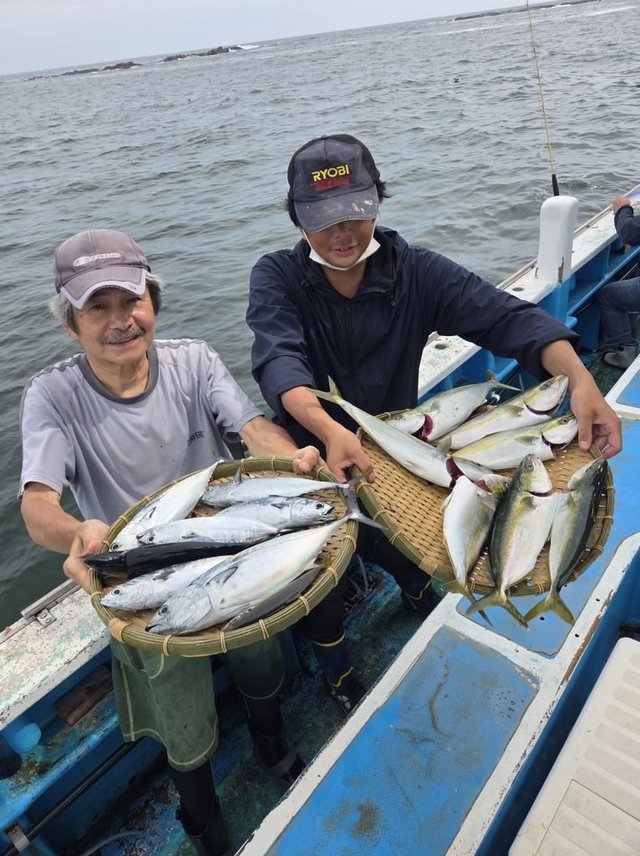 イナダ(ブリ)・ヒラソウダ・マルソウダ