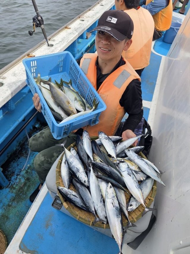 アジ(マアジ)・イナダ(ブリ)・ヒラソウダ・マルソウダ・サバ(ゴマサバ)