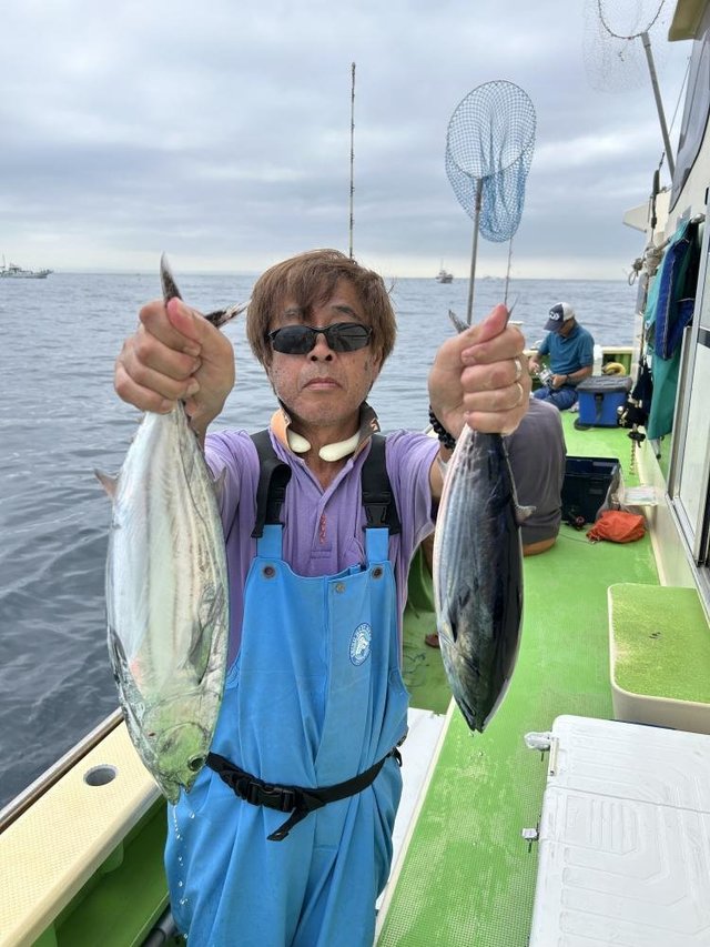 ホンガツオ(カツオ)