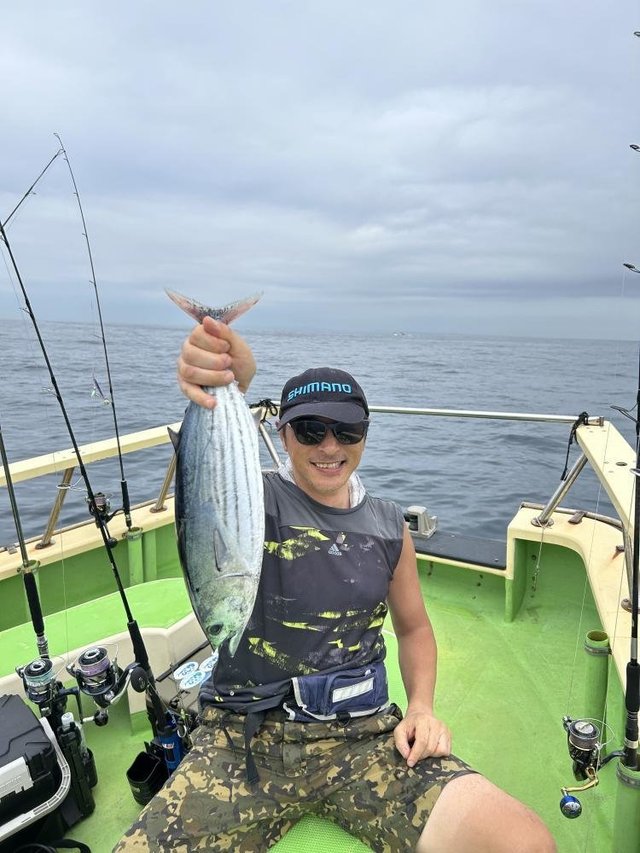 ホンガツオ(カツオ)