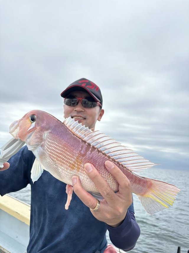 アマダイ(アカアマダイ)