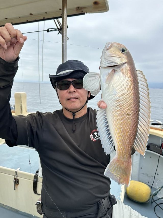 アマダイ(アカアマダイ)