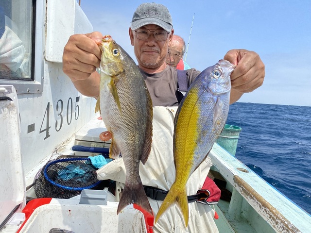 ウメイロ・イサギ(イサキ)