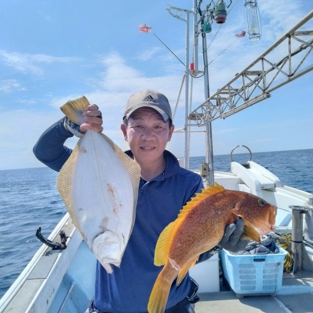 アコウ(キジハタ)・ヒラメ