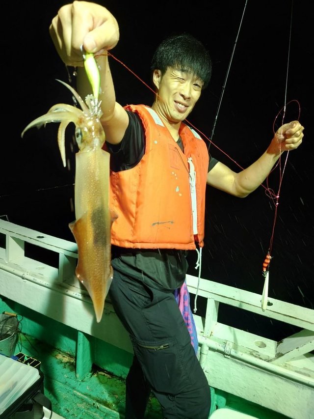 シロイカ(ケンサキイカ)