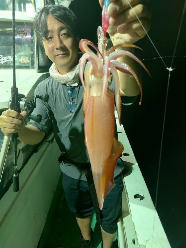 シロイカ(ケンサキイカ)