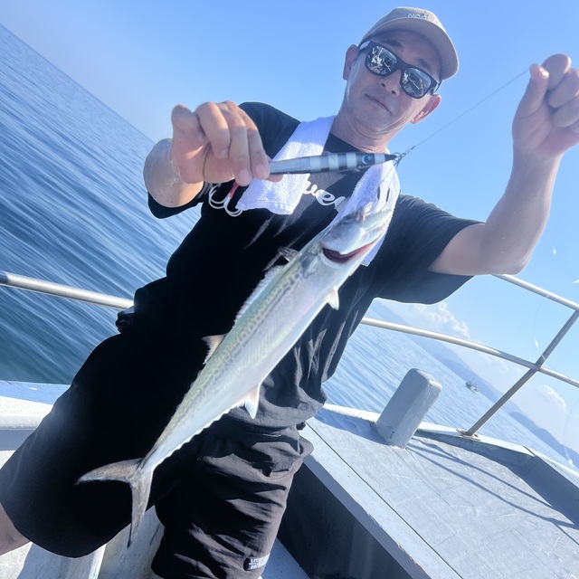 サゴシ(サワラ)