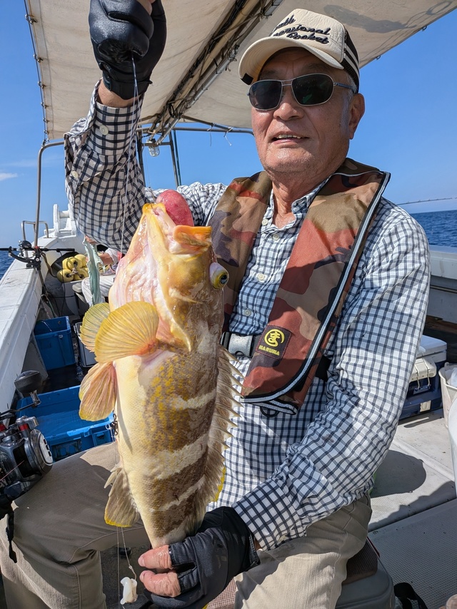 アオナ(アオハタ)