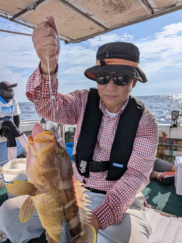 アオナ(アオハタ)