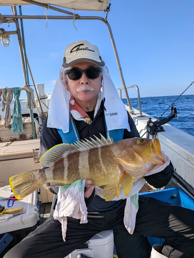 アオナ(アオハタ)