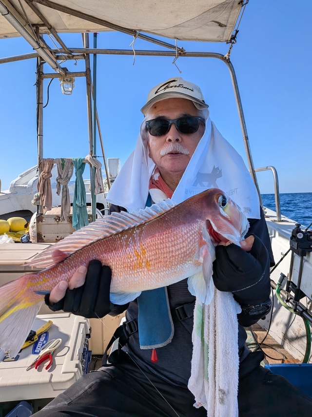 アマダイ(アカアマダイ)