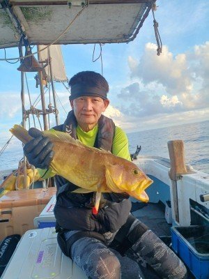 アオナ(アオハタ)