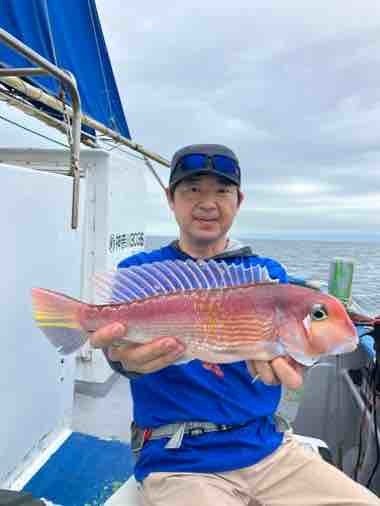 アマダイ(アカアマダイ)