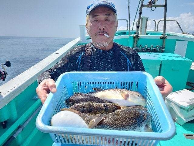 ショウサイフグ