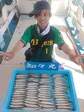 キス(シロギス)