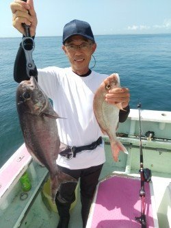 マダイ・メダイ