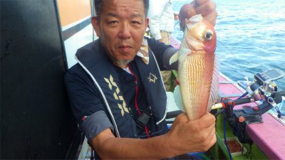 アマダイ(アカアマダイ)