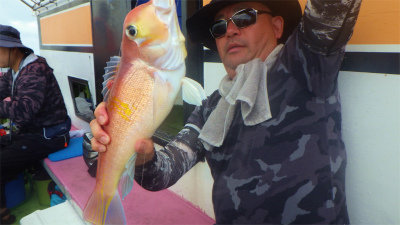 アマダイ(アカアマダイ)