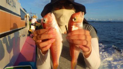 アマダイ(アカアマダイ)