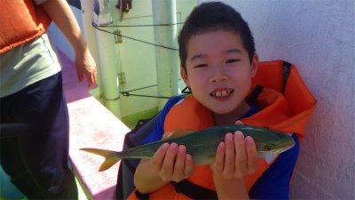 ツバイソ(ブリ)