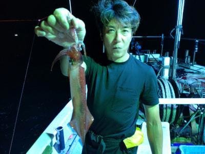 マイカ(ケンサキイカ)