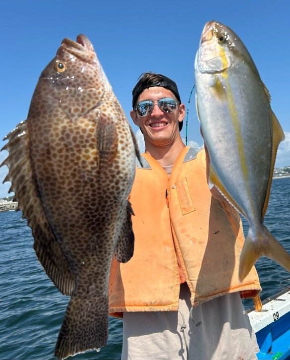 オオモンハタ・カンパチ