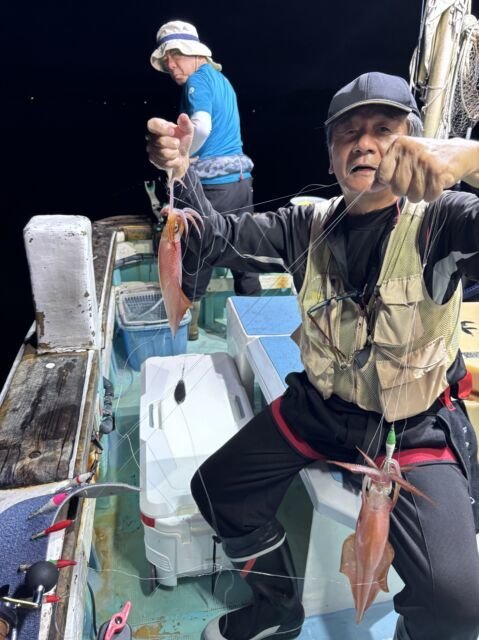 マイカ(ケンサキイカ)