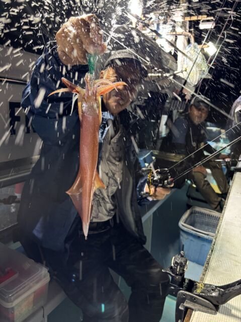 マイカ(ケンサキイカ)