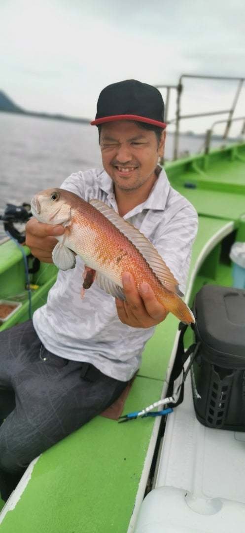 アマダイ(アカアマダイ)