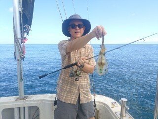 アオリ(アオリイカ)