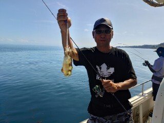 アオリ(アオリイカ)