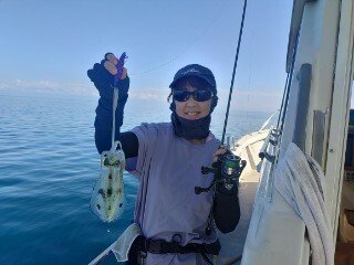 アオリ(アオリイカ)