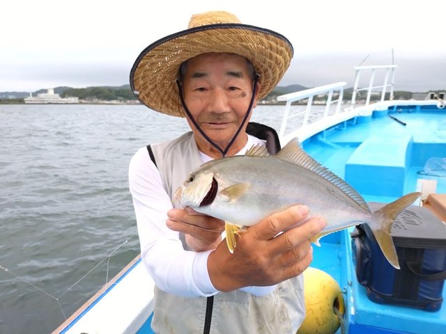 ショゴ(カンパチ)