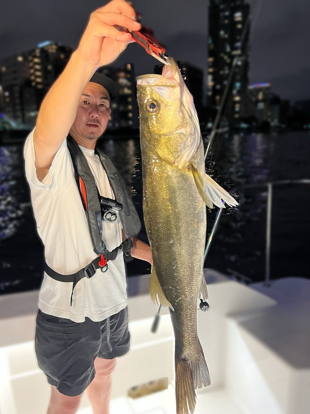 シーバス(スズキ)