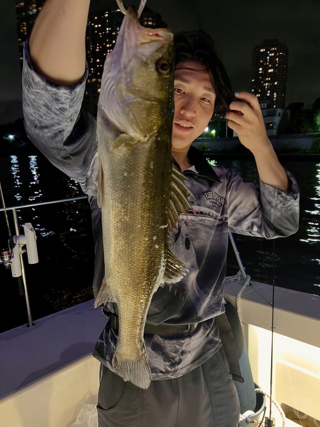 シーバス(スズキ)