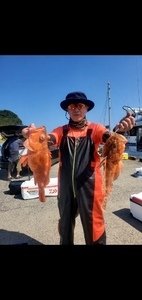 カンコ(ウッカリカサゴ)