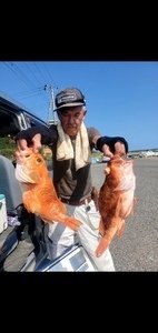 カンコ(ウッカリカサゴ)