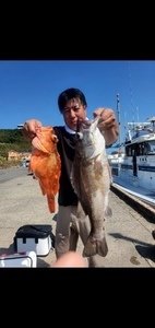 アラ・カンコ(ウッカリカサゴ)