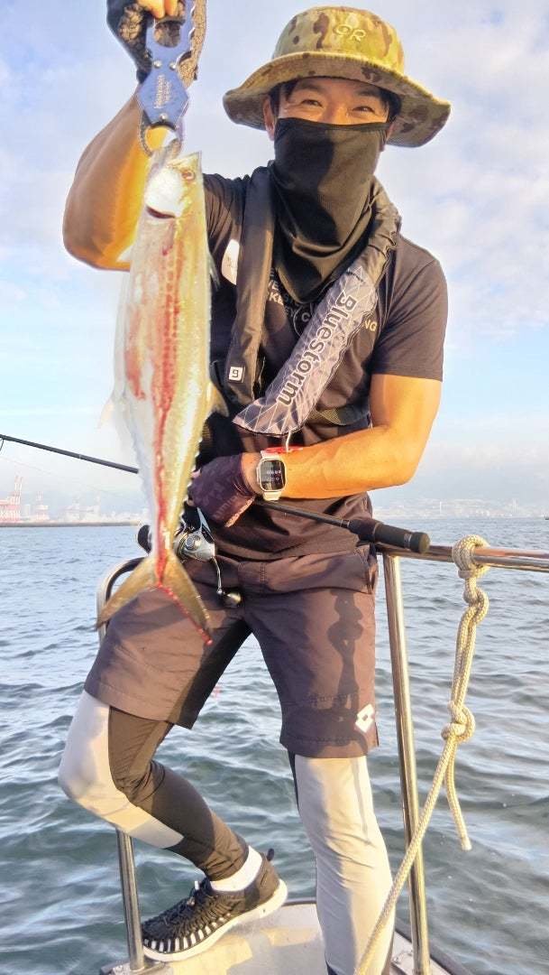 サゴシ(サワラ)