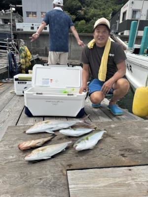 ツバス(ブリ)・ハマチ(ブリ)・カンパチ