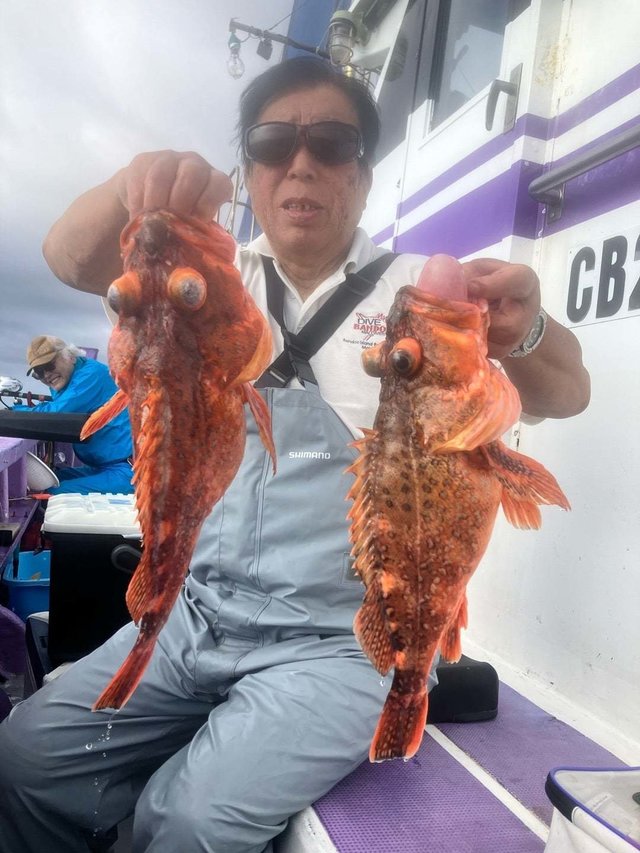 ウッカリカサゴ