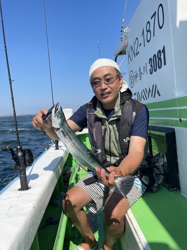 サゴシ(サワラ)