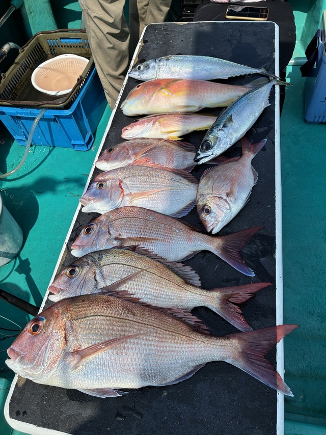 マダイ・チダイ