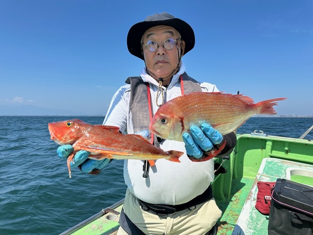 ハナダイ(チダイ)