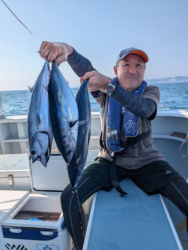 ホンガツオ(カツオ)