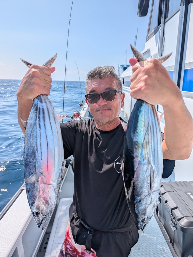 ホンガツオ(カツオ)