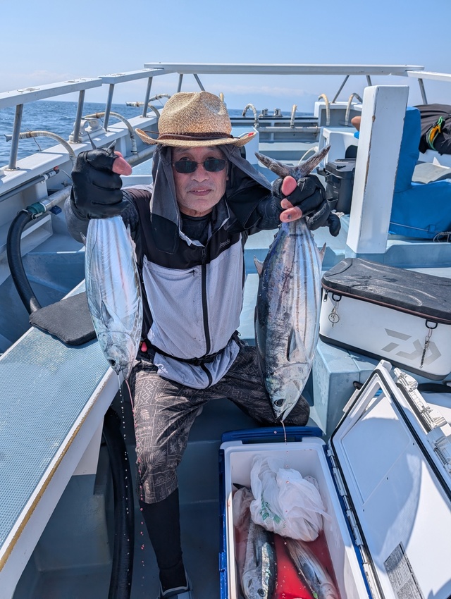 ホンガツオ(カツオ)